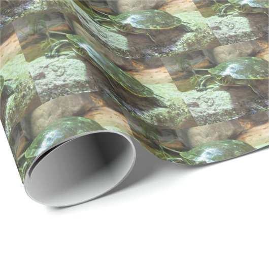 Schildpad Cadeaupapier (Rol Hoek)