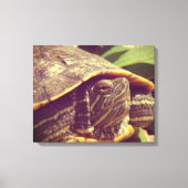 Schildpad Canvas Afdruk (Voorkant)