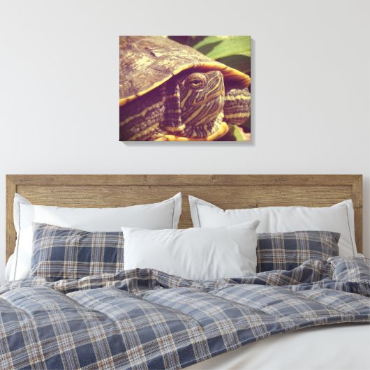 Schildpad Canvas Afdruk (Insitu (Slaapkamer))