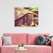 Schildpad Canvas Afdruk (Insitu (Woonkamer))