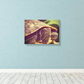 Schildpad Canvas Afdruk (Insitu (Houten vloer))