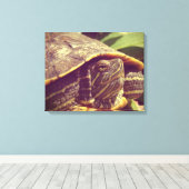 Schildpad Canvas Afdruk (Insitu (Houten vloer))