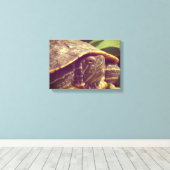Schildpad Canvas Afdruk (Insitu (Houten vloer))