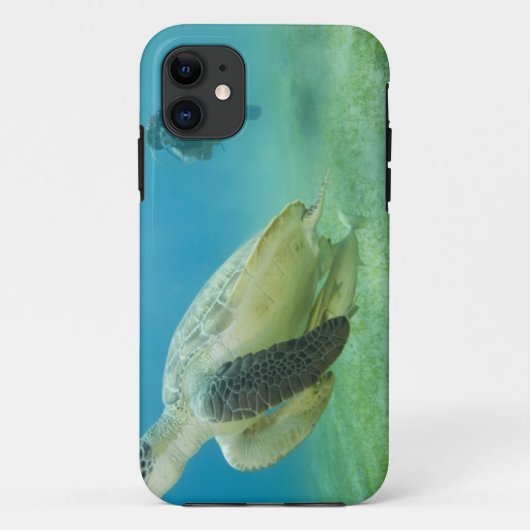 Schildpad Case-Mate iPhone Case (Achterkant)