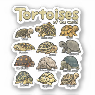 Schildpad Dieren van de Wereld Schattig Reptiel Sc Sticker