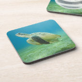 Schildpad Drankjes Onderzetter (Linkerzijde)