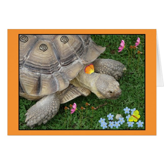 schildpad en bloemen (Voorkant Horizontaal)