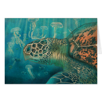 Schildpad en kwallen