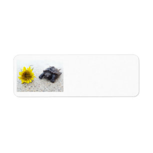 Schildpad en paardenbloem label
