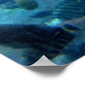 Schildpad en vis poster (Hoek)