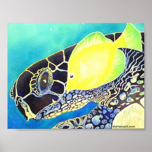 schildpad en vis poster (Voorkant)