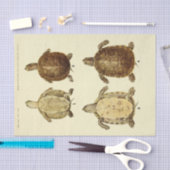 Schildpad Ephemera Decoupage Tissuepapier (Craft)