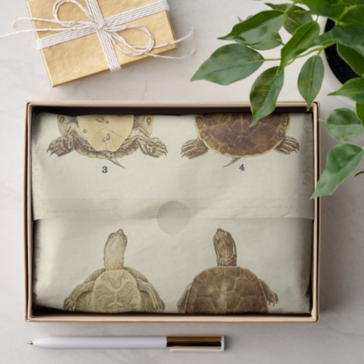 Schildpad  Ephemera Decoupage Tissuepapier (Geschenk)