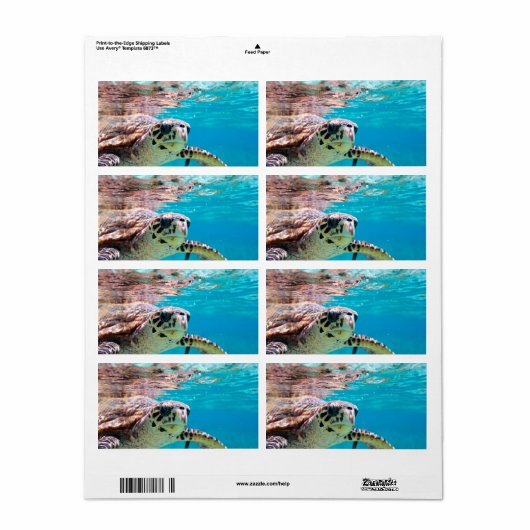 Schildpad Etiket (Full Sheet)