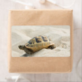 Schildpad Etiket (Insitu)
