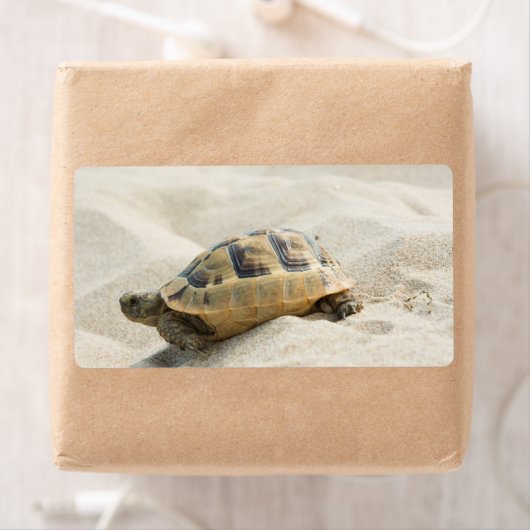 Schildpad Etiket (Insitu)