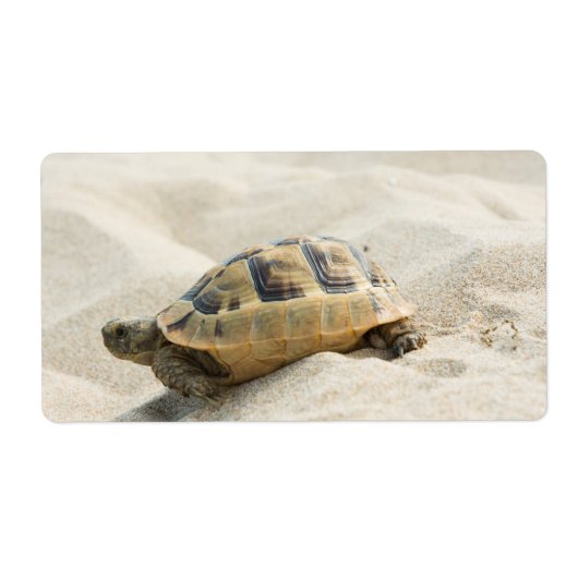 Schildpad Etiket (Voorkant)