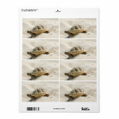 Schildpad Etiket (Full Sheet)