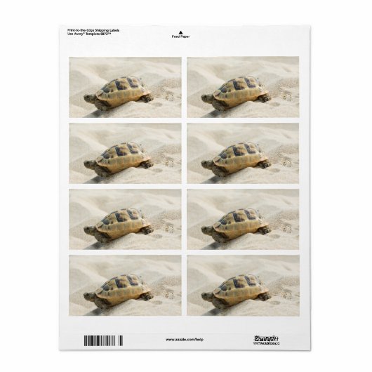Schildpad Etiket (Full Sheet)