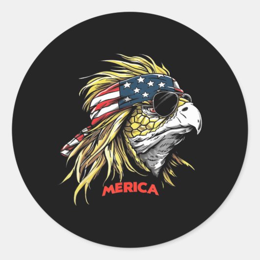 Schildpad - Grappige 4 juli Amerikaanse Vlag Ronde Sticker (Voorkant)
