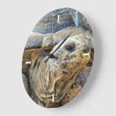 SCHILDPAD GROTE KLOK (Hoek)