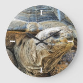 SCHILDPAD GROTE KLOK (Voorkant)