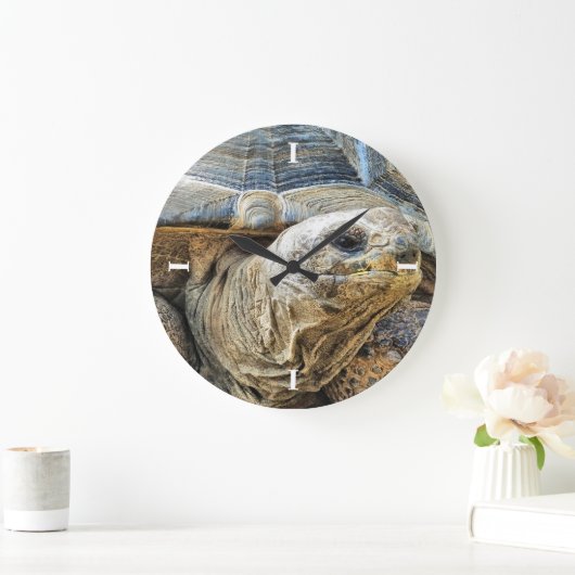 SCHILDPAD GROTE KLOK (Huis)