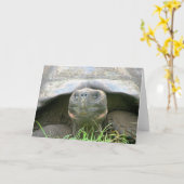 Schildpad, het Eiland van Cruz van de Kerstman, de Kaart (Gele Bloem)