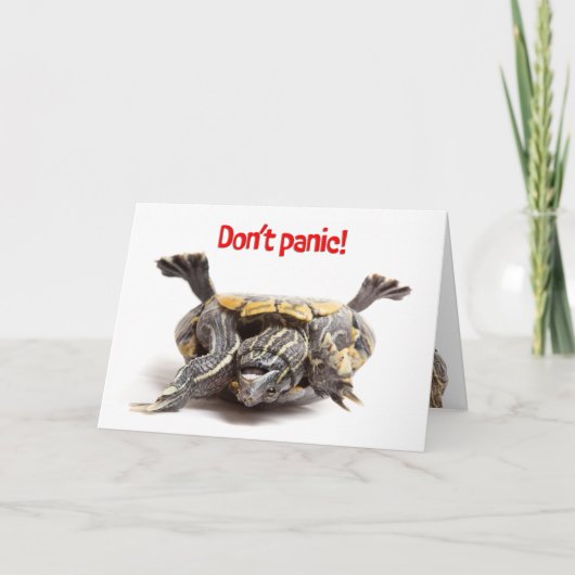 Schildpad hier achterop voor je aanmoediging feestdagen kaart (Voorkant)