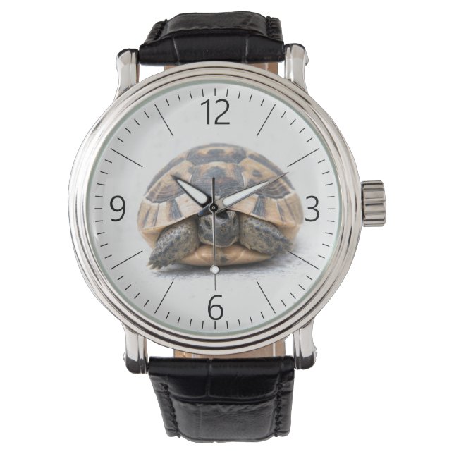 Schildpad Horloge (Voorkant)