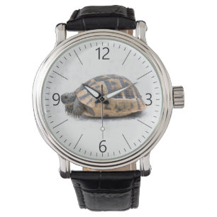 Schildpad Horloge