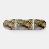 Schildpad Identificatie Skateboard (Horizontaal)