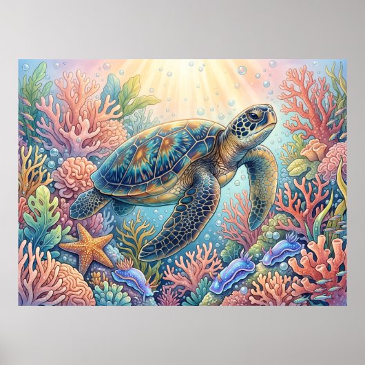 Schildpad Illustratie Poster (Voorkant)