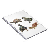 schildpad illustraties set notitieboek (Rechterzijde)