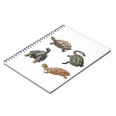 schildpad illustraties set notitieboek (Linkerzijde)