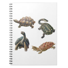 schildpad illustraties set notitieboek
