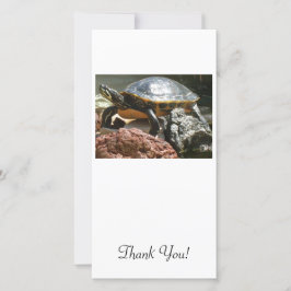 Schildpad in aquarium bedankkaart