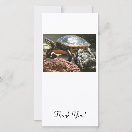 Schildpad in aquarium bedankkaart (Voorkant)
