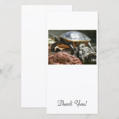 Schildpad in aquarium bedankkaart (Voorkant / Achterkant)