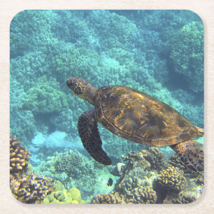 schildpad in de zee kartonnen onderzetters