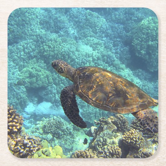 schildpad in de zee kartonnen onderzetters (Voorkant)