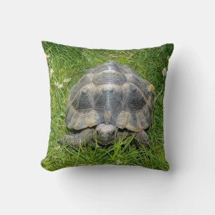 Schildpad in het groene gras kussen
