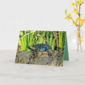 Schildpad in het Wenskaart van de Zon Kaart (Gele Bloem)