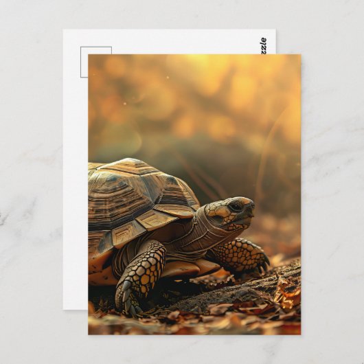 Schildpad in het wild briefkaart (Voorkant / Achterkant)