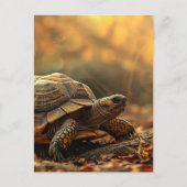 Schildpad in het wild briefkaart (Voorkant)