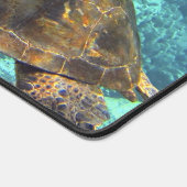 Schildpad in het zee bureaumat (Hoek)