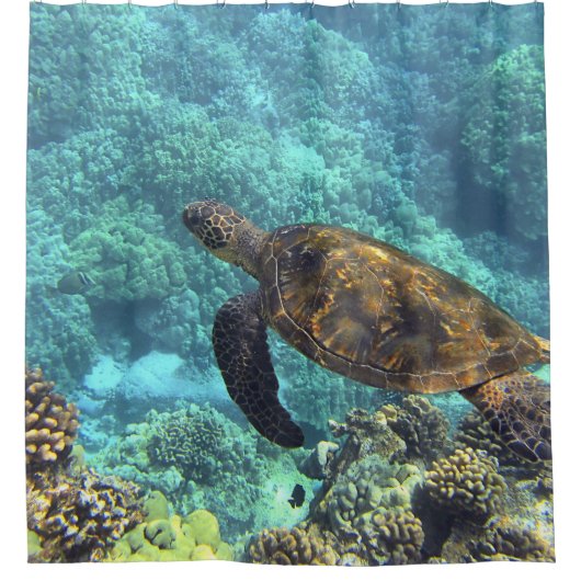 Schildpad in het zee douchegordijn (Voorkant)