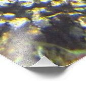 Schildpad in het zee foto afdruk (Hoek)