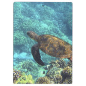 Schildpad in het zee klembord (Achterkant)