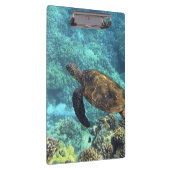 Schildpad in het zee klembord (Rechts)